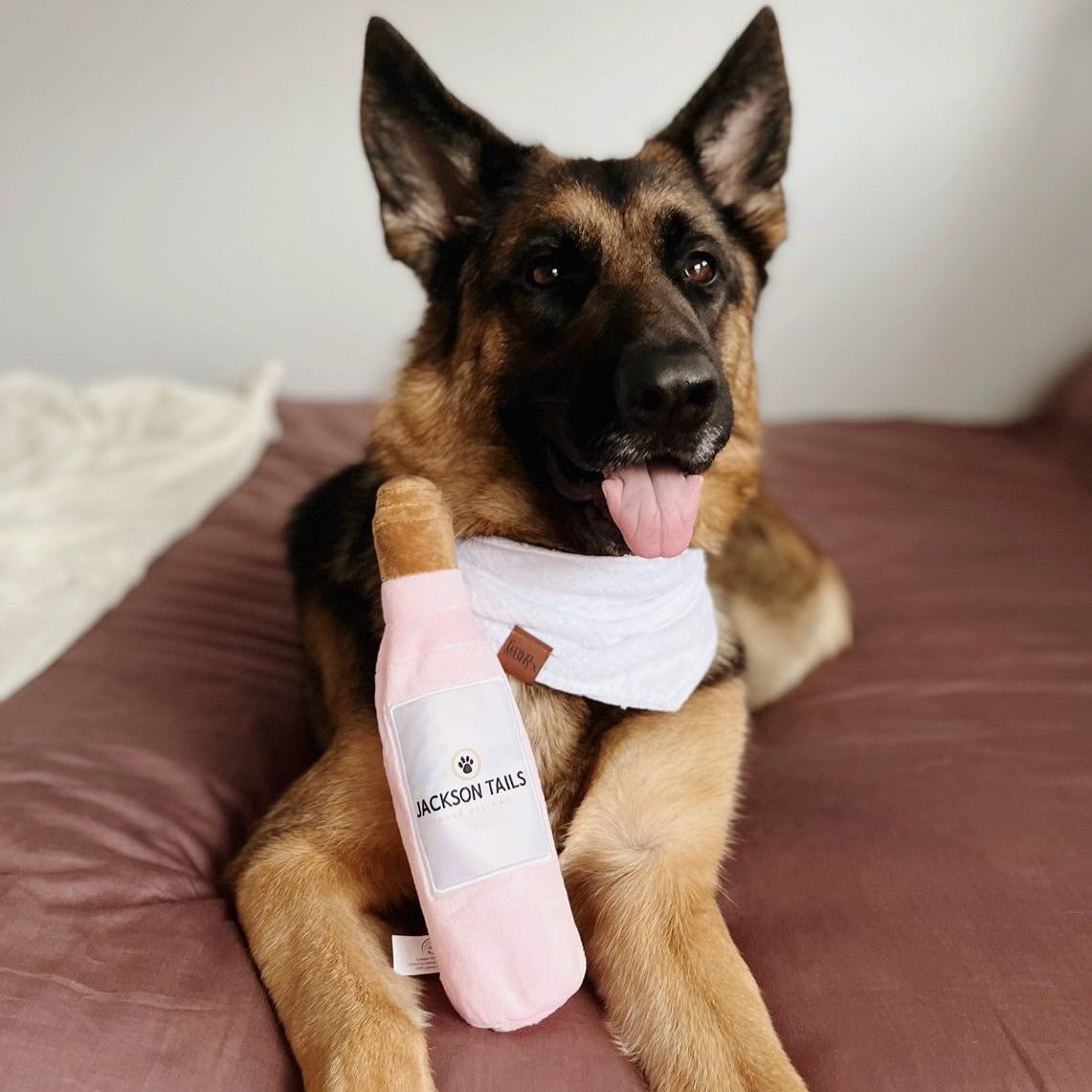 Vibes & Chill Pack Dog Toys