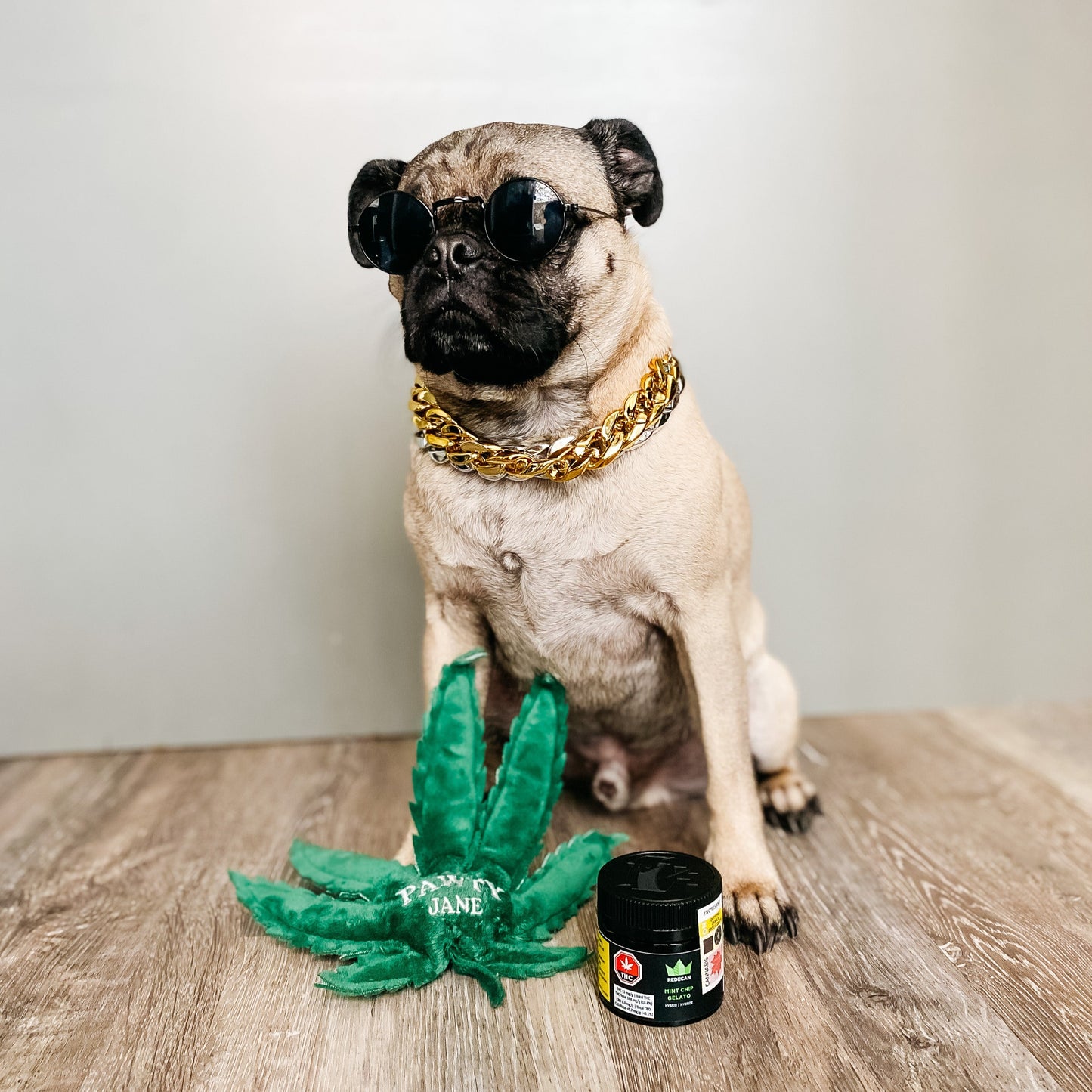 Vibes & Chill Pack Dog Toys