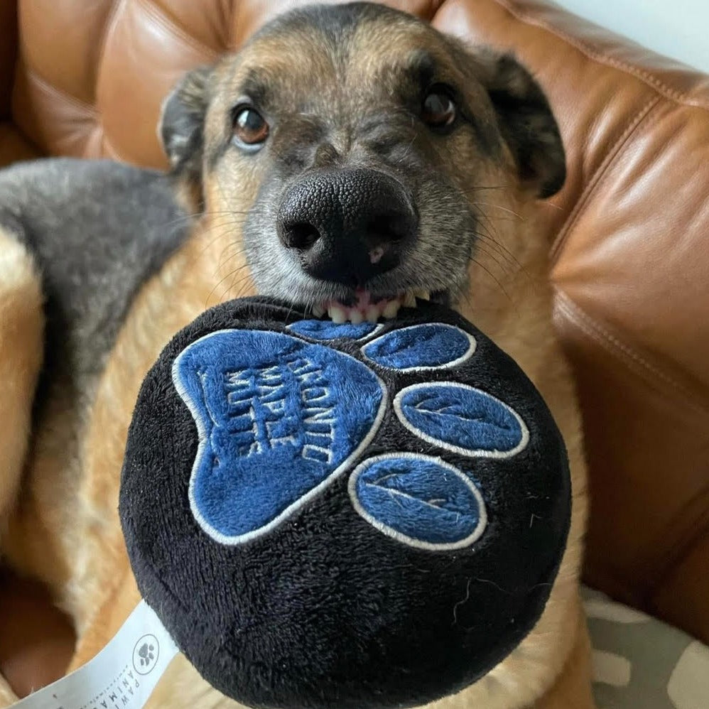 TORONTO -VS- EVERYBODY Pack Dog Toys