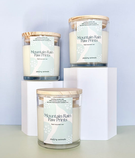 Mountain Rain - Pet Safe Spring Exclusive Candle